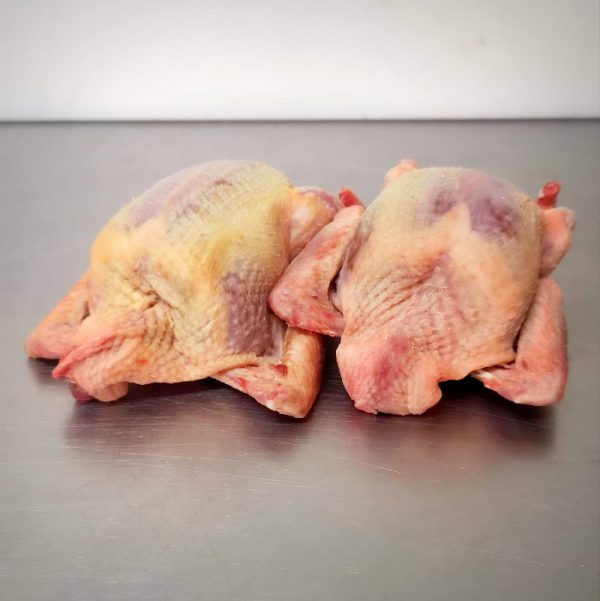 2 pigeons prêts à cuire (produit de la ferme de Vers)