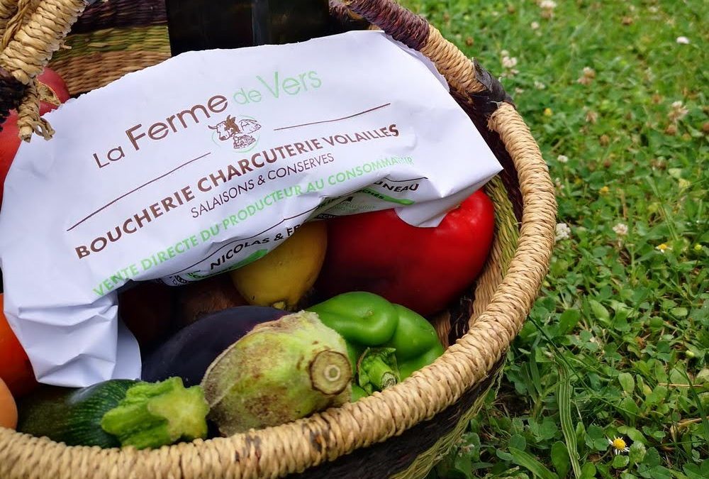 Panier avec légumes, bouteille d'huile et produit de la Ferme de Vers (emballé dans un papier estampillé Ferme de Vers) sur de la pelouse